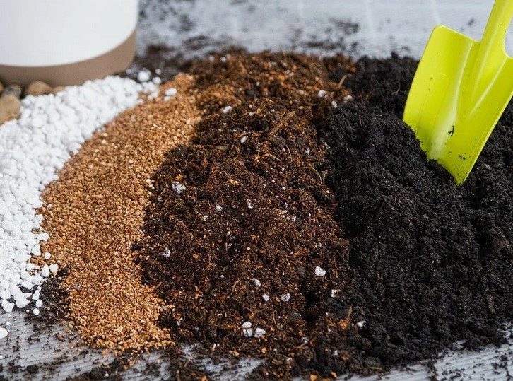 Вы знали, что растение может «задохнуться» в земле?